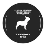 Бульдоги Юга — фото проекта
